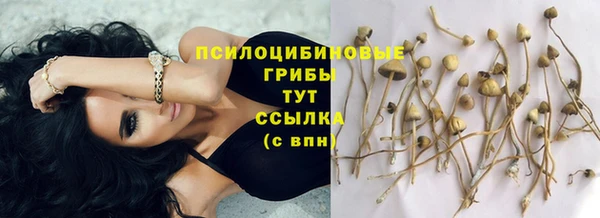 spice Алексин