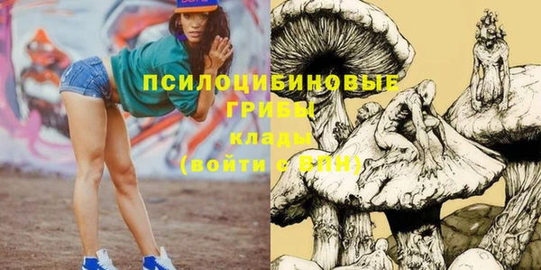spice Алексин