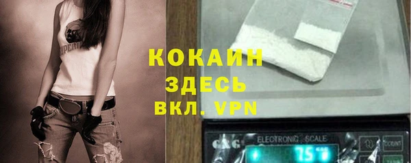 спиды Алзамай