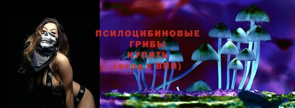 spice Алексин