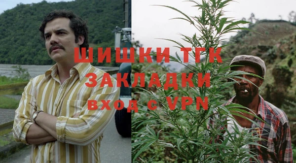 дживик Алексеевка
