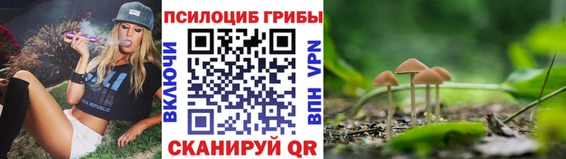 хочу   MEGA как зайти  Галлюциногенные грибы мухоморы  Грайворон 